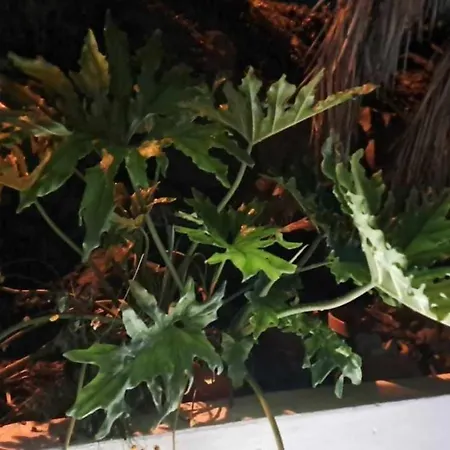 The Cliff Casa Marag Villa *