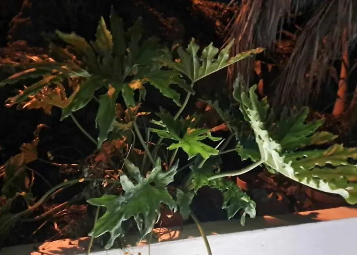 The Cliff Casa Marag Villa *